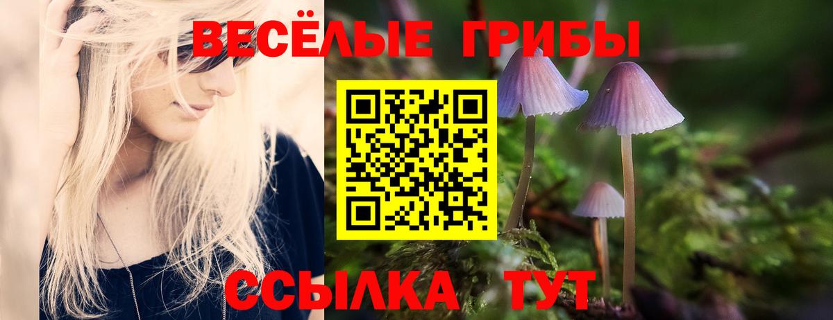Псилоцибиновые грибы прущие грибы  Вход с VPN  даркнет сайт  Братск  Псилоцибиновые грибы мицелий 