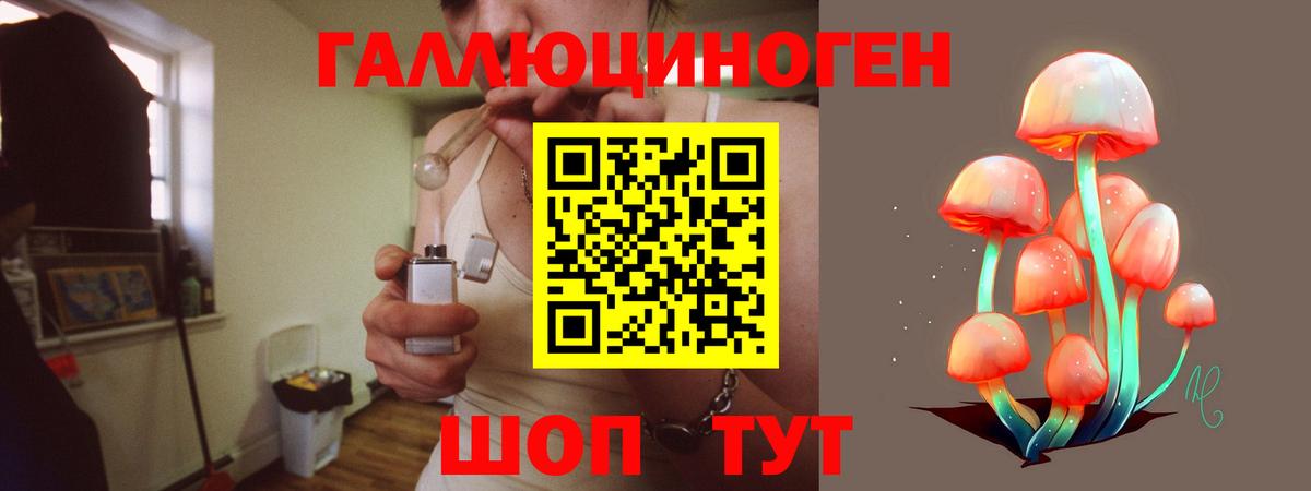 Галлюциногенные грибы Cubensis Братск